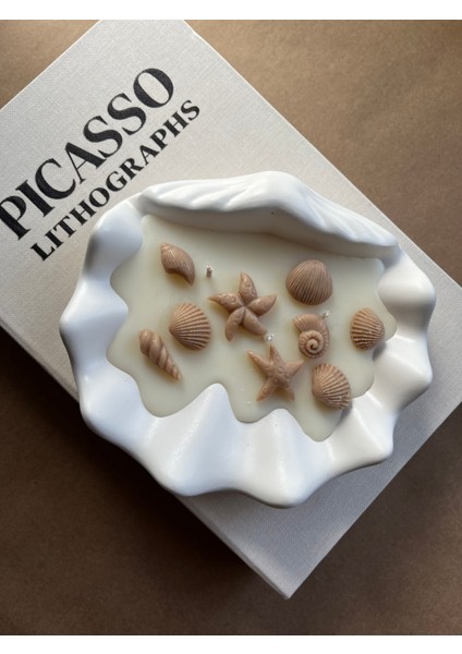 Sseashell Candles %100 Doğal Soya Mum