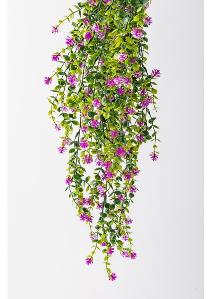 Yapay Renkli Sarmaşık 75 cm 5 Dal
