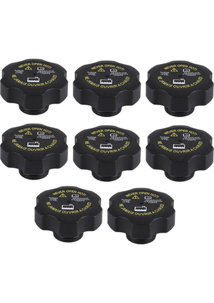 RC98 15075118 H2 Için Radyatör Kapağı (Yurt Dışından)