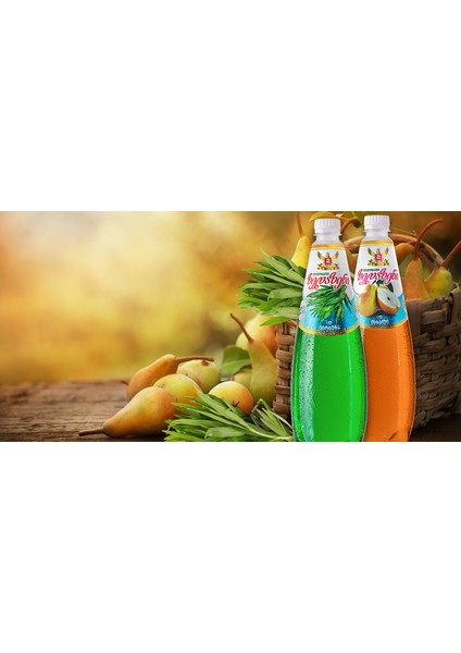 Tarhun Aromalı Gürcistan Limonatası (1 Adet) (1 Litre)