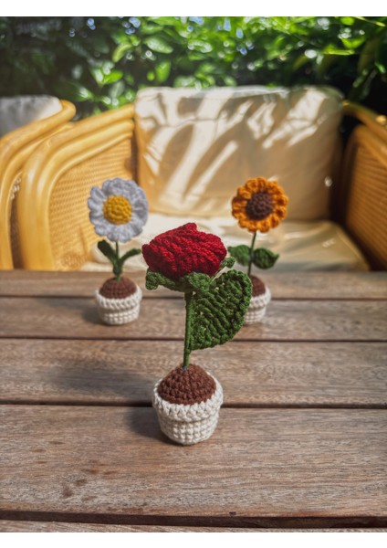 El Yapımı Mini Saksı Çiçek – Masa Süsü Papatya