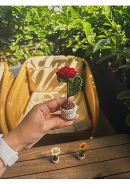 El Yapımı Mini Saksı Çiçek – Masa Süsü Papatya fiyatları