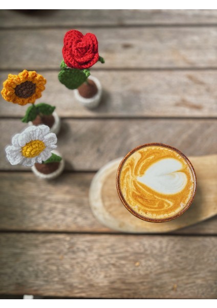 El Yapımı Mini Saksı Çiçek – Masa Süsü Papatya modelleri