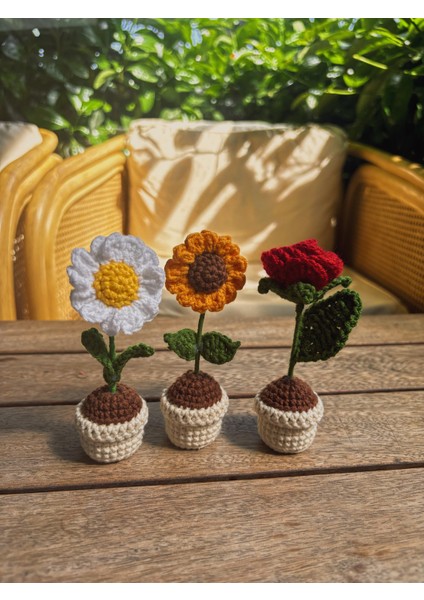El Yapımı Mini Saksı Çiçek – Masa Süsü Papatya indirimleri
