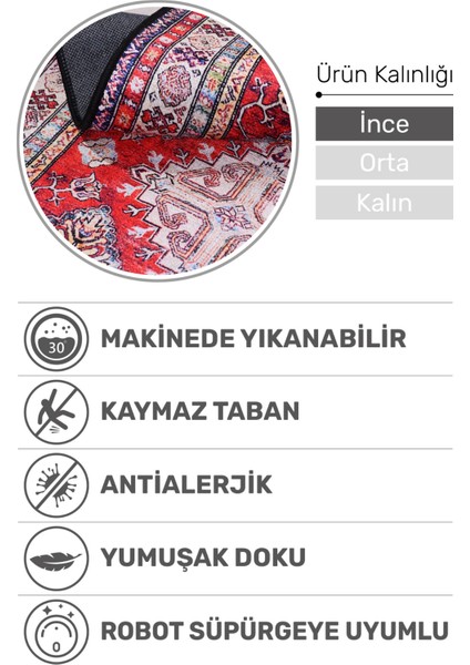 Ipek Yolu Şönil Halı | Kaymaz Taban, Yıkanabilir, Toz Tutmaz, Uzun Ömürlü Konfor