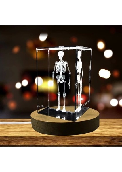 3D Kristal Insan Iskeleti Modeli