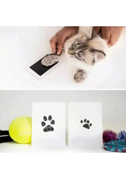 Kedi Köpek Pati Izi Fotoğraf Çerçevesi Seti