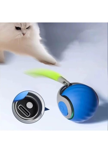 Otomatik Hareketli Kedi Oyuncağı