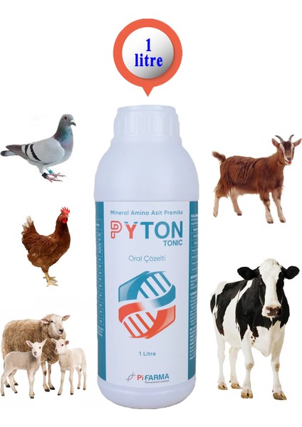 Pyton Sıvı Premix Kanatlı Tavuk Güvercin Koyun Keçi Buzağı Vs 1Lt Vitamin Aminoasit Mineral indirimleri