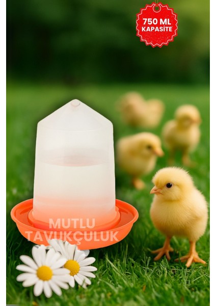 Civciv Suluk Başlangıç Suluğu 750 ml