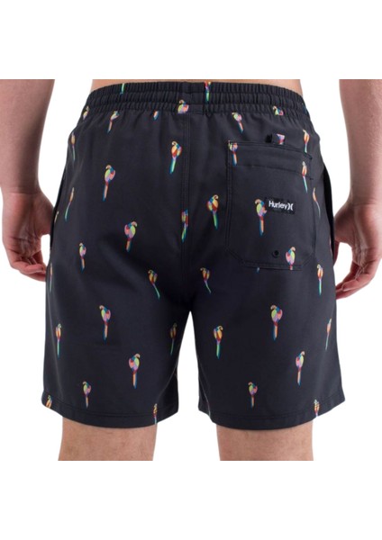Cannonball Volley 17 Erkek Siyah Volley Short