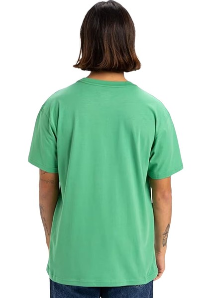 Fınelıne Ss modelleri