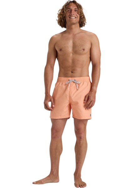 All Day Lb fiyatları