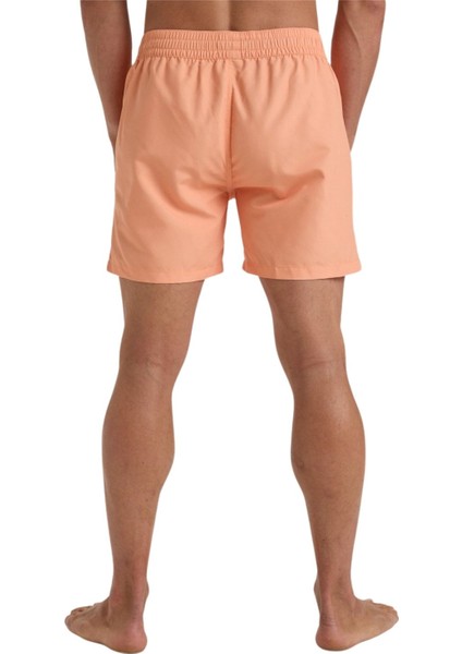 All Day Lb fırsatları