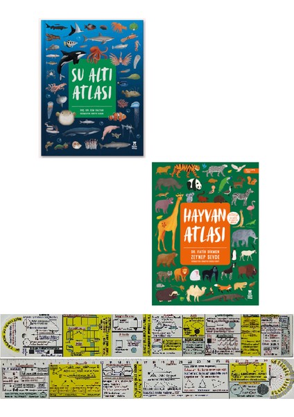 Su Altı Atlası + Hayvan Atlası 2'li Set + Mat. Öğreten Cetvel