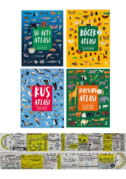 Su Altı + Böcek + Kuş + Hayvan Atlası 4'lü Set + Mat. Öğreten Cetvel
