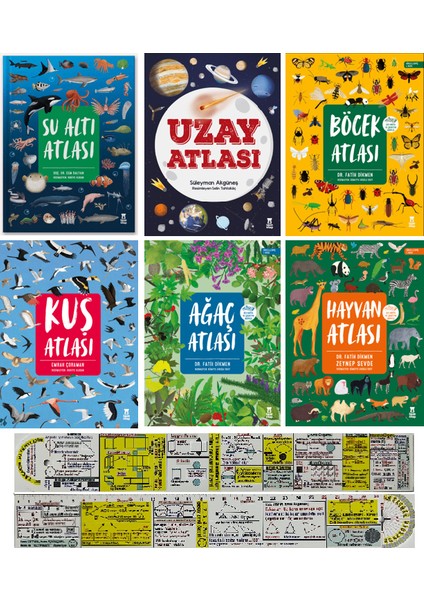 Su Altı + Uzay + Böcek + Hayvan + Kuş + Ağaç Atlası 6'lı Set + Mat. Öğreten Cetvel