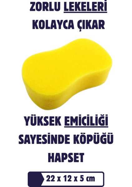 Auto 3 Adet Oto Yıkama Süngeri