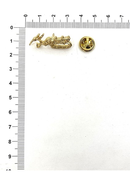 Atatürk Temalı Rozet (5 Adet)