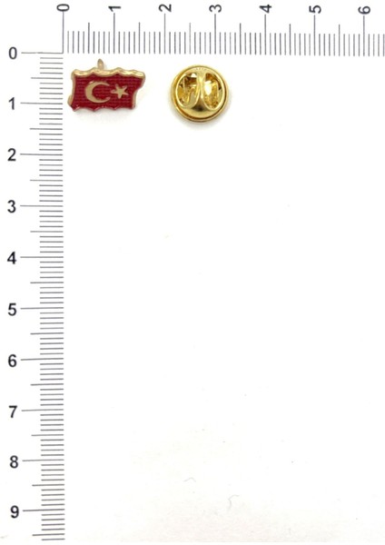 Bayrak Temalı Rozet (5 Adet)