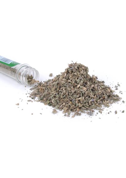 Catnip Doğal Kedi Nanesi 40 ml