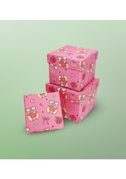 Capybara Fiyonk Desenli 3'lü Hediye, Kutusu Seti | Mini Kutu Seti
