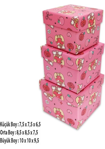 Capybara Fiyonk Desenli 3'lü Hediye, Kutusu Seti | Mini Kutu Seti modelleri