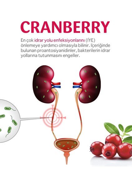 Cranberry 60 Kapsül fırsatları