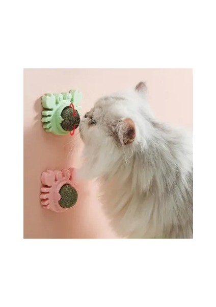 Yengeç Kedi Otu Oyun Topu