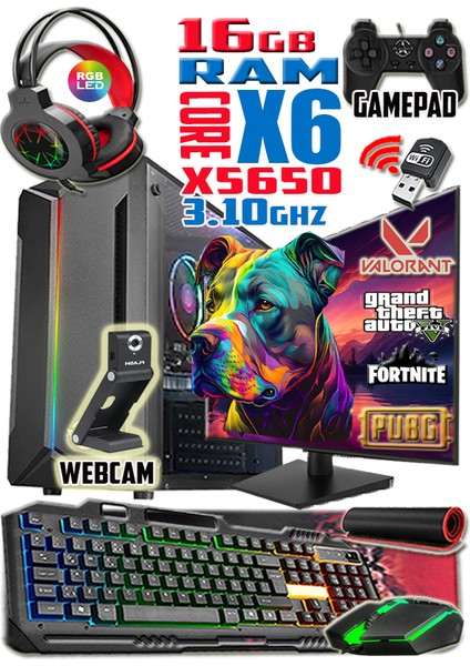 Pitbull Xeon X5650 16GB Ram 256GB SSD 250GB HDD R7 240-4GB E.kartı 19" Monitör Masaüstü Bilgisayar