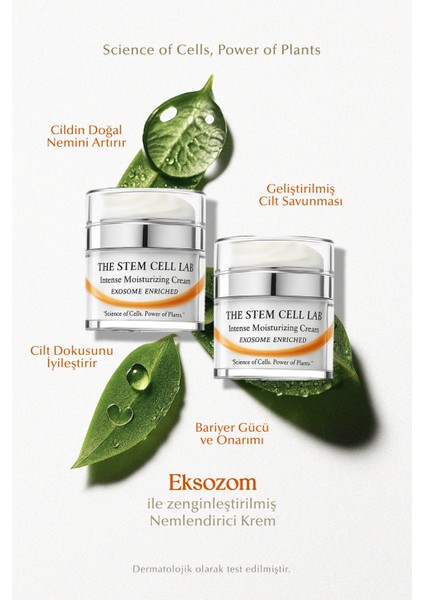 Intense Moisturizing Cream (Yoğun Nemlendirici Krem) 50 ml X 2 Adet