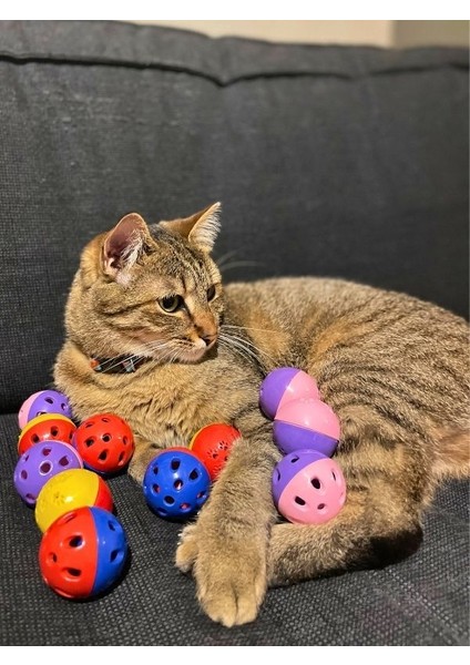 5'li Zilli Oyun Topu Seti - Kedi Kopek Kuş Oyuncağı