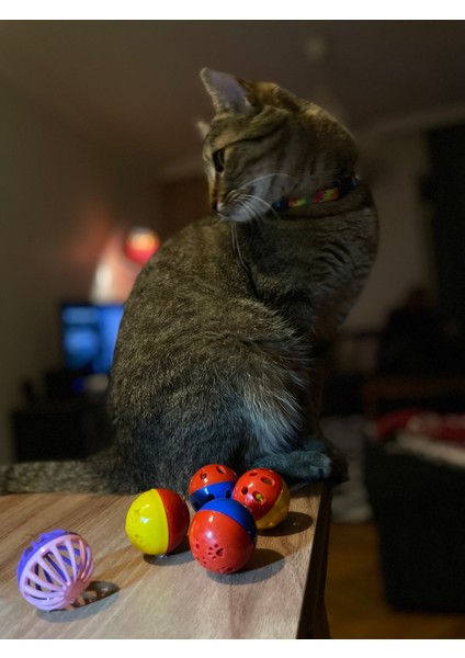 5'li Zilli Oyun Topu Seti - Kedi Kopek Kuş Oyuncağı