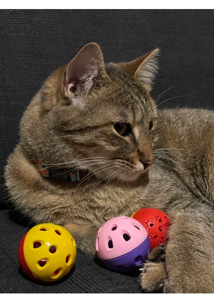 5'li Zilli Oyun Topu Seti - Kedi Kopek Kuş Oyuncağı
