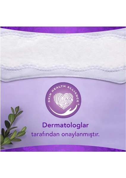 Yaprak Günlük Ped Normal 100x3=300 Adet