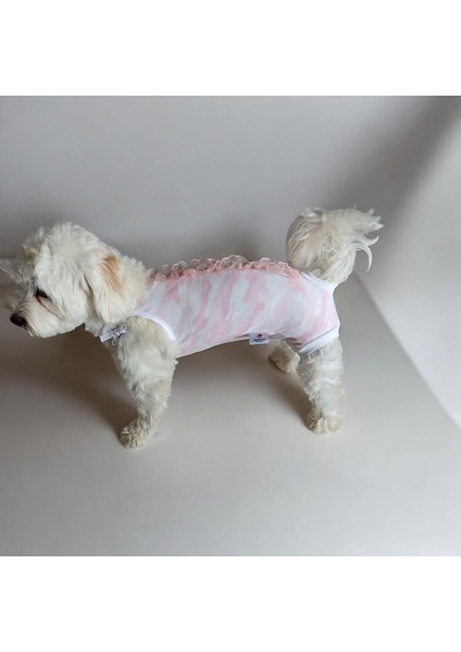 Dişi Köpek Periyod Külotu, Dişi Köpek Zıbın Külot