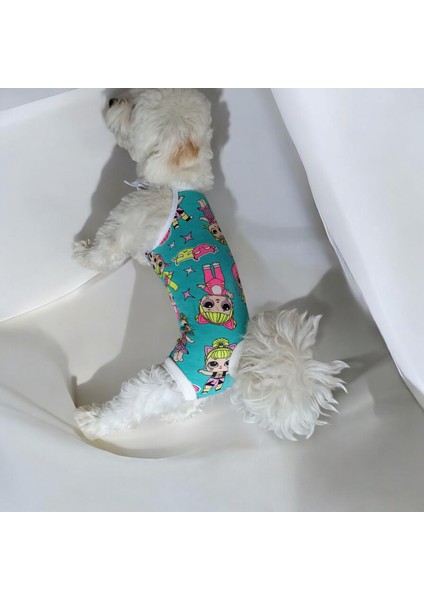 Dişi Köpek Periyod Külotu, Dişi Köpek Zıbın Külot