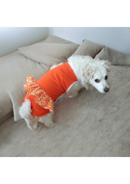 Dişi Köpek Periyod Külotu, Dişi Köpek Zıbın Külot