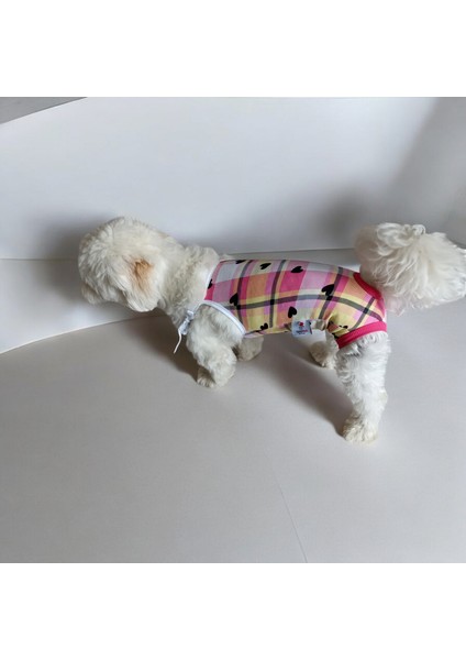 Dişi Köpek Periyod Külotu, Dişi Köpek Zıbın Külot