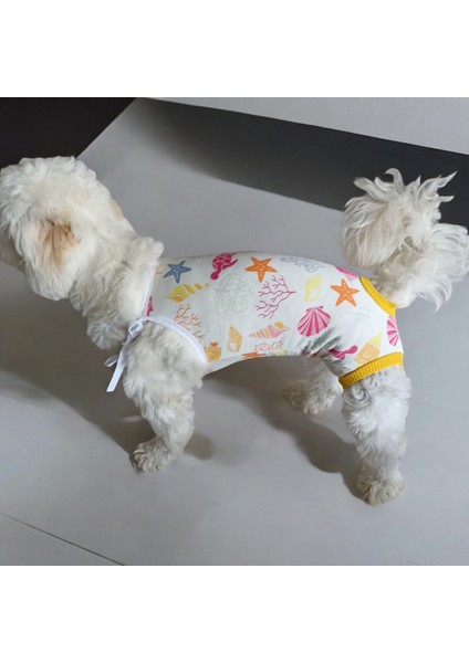 Dişi Köpek Periyod Külotu, Dişi Köpek Zıbın Külot