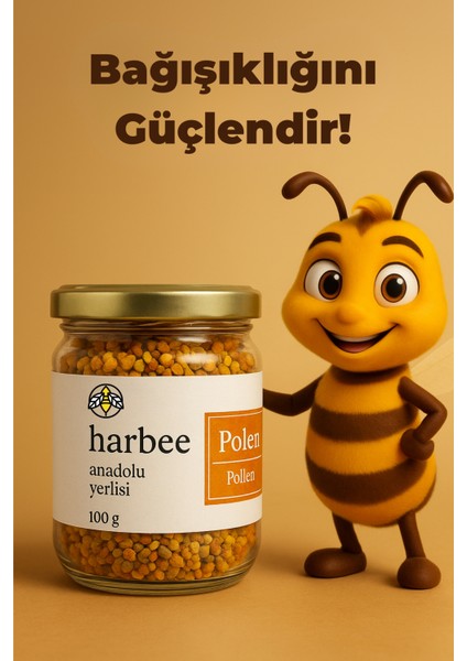Polen fırsatları