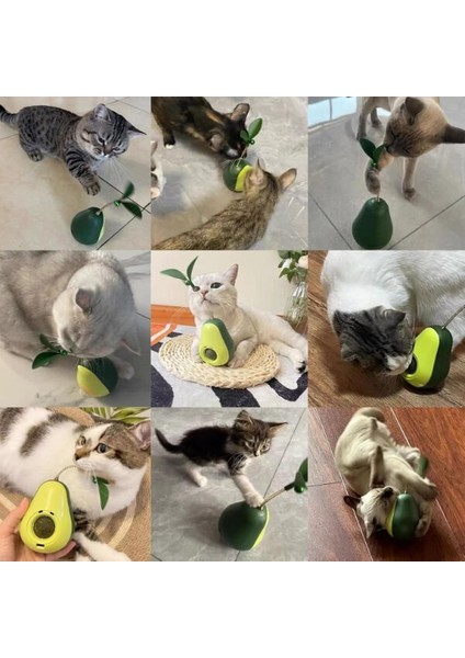 Avokado Şeklinde Kedi Naneli ve Mama Hazneli Kedi Oyuncağı modelleri