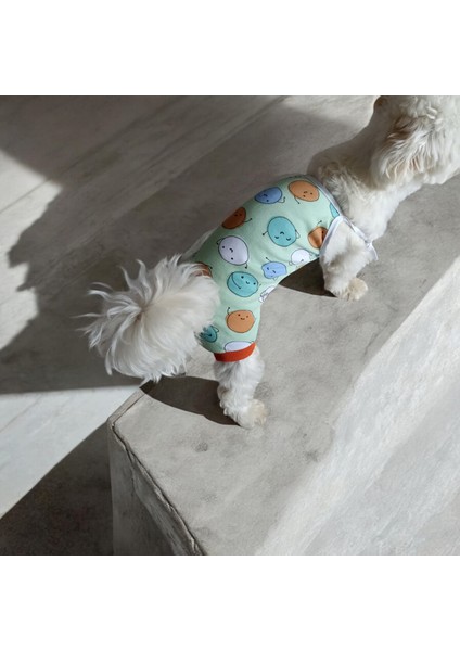 Dişi Köpek Periyod Külotu, Dişi Köpek Zıbın Külot