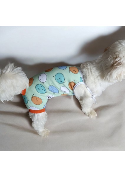 Dişi Köpek Periyod Külotu, Dişi Köpek Zıbın Külot