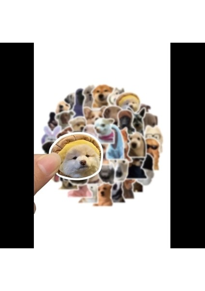 Sevimli Köpek Çıkartmaları Laptop Notebook Tablet Sticker Seti
