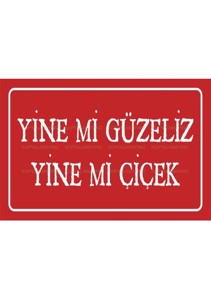 Yine Mi Güzeliz Yine Mi Çiçek Komik Esprili Sözler Duvar Yazıları Tablo Retro Ahşap Poster