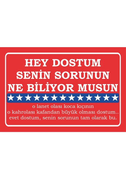 Dostum Senin Sorunun Ne Biliyor Musun Amerikan Filmleri Meşhur Replikler Duvar Yazıları Ahşap Poster