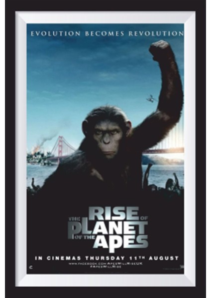 Maymunlar Cehennemi Sinema Afişi Çerçeve Görünümlü Retro Ahşap Poster