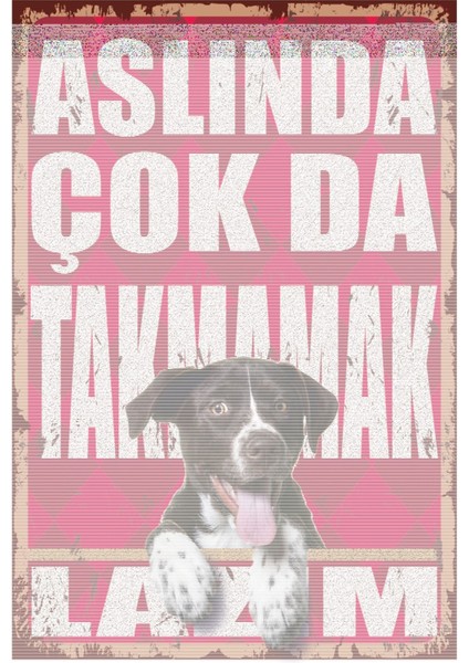 Aslında Çok Da Takmamak Lazım Komik Duvar Yazıları Retro Ahşap Poster