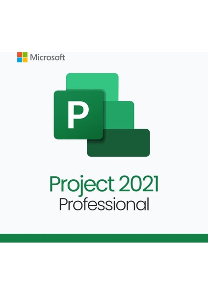 Project 2021 Professional – 2 Bilgisayar Için Lisans